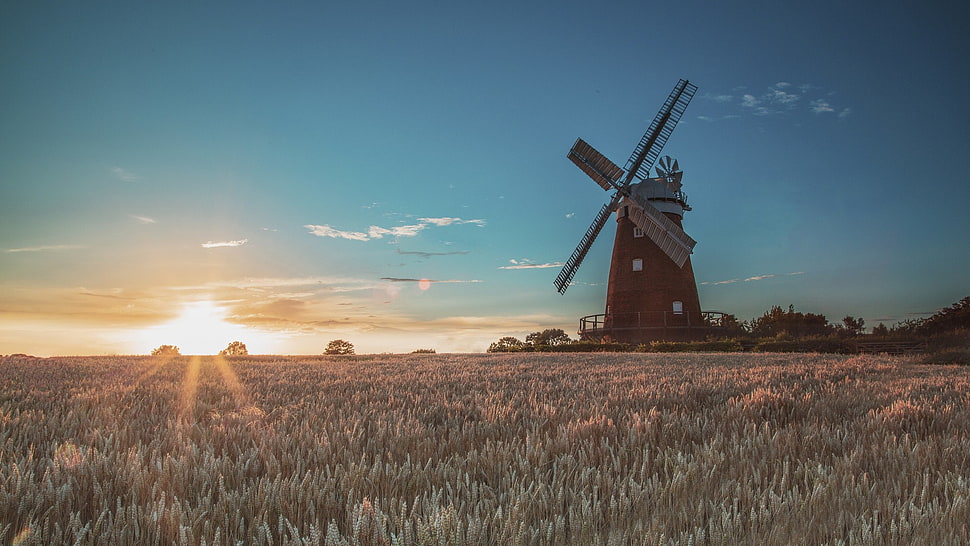 brown and gray windmill, landscape, windmill, field, sunlight HD wallpaper