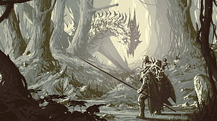 man with lance and shield digital wallpaper, dragon, Wyvern, spear, forest