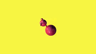 round red fruit HD wallpaper
