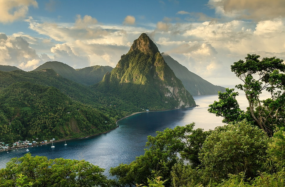 green leafed tree mountain, mountains, sky, clouds HD wallpaper