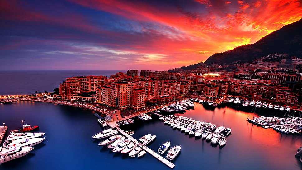 aerial photo of buildings and boats, cityscape, Monaco HD wallpaper