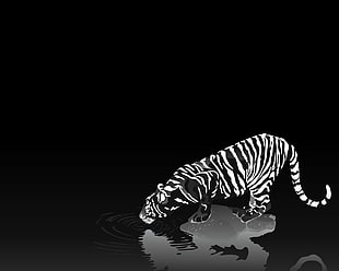 tiger animated painting, tiger, monochrome HD wallpaper