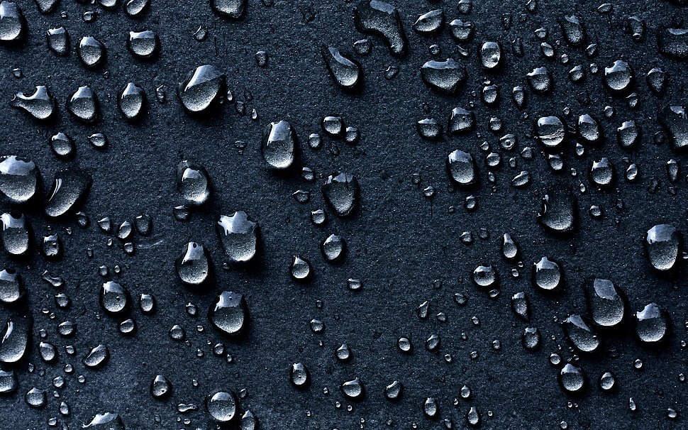 micro photography of water dew HD wallpaper