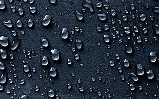 micro photography of water dew