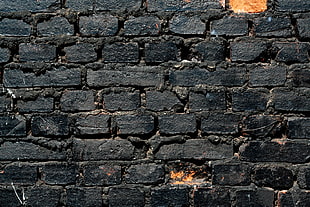 black wall brick, texture HD wallpaper