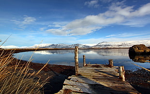 brown wooden board near bodies of water HD wallpaper