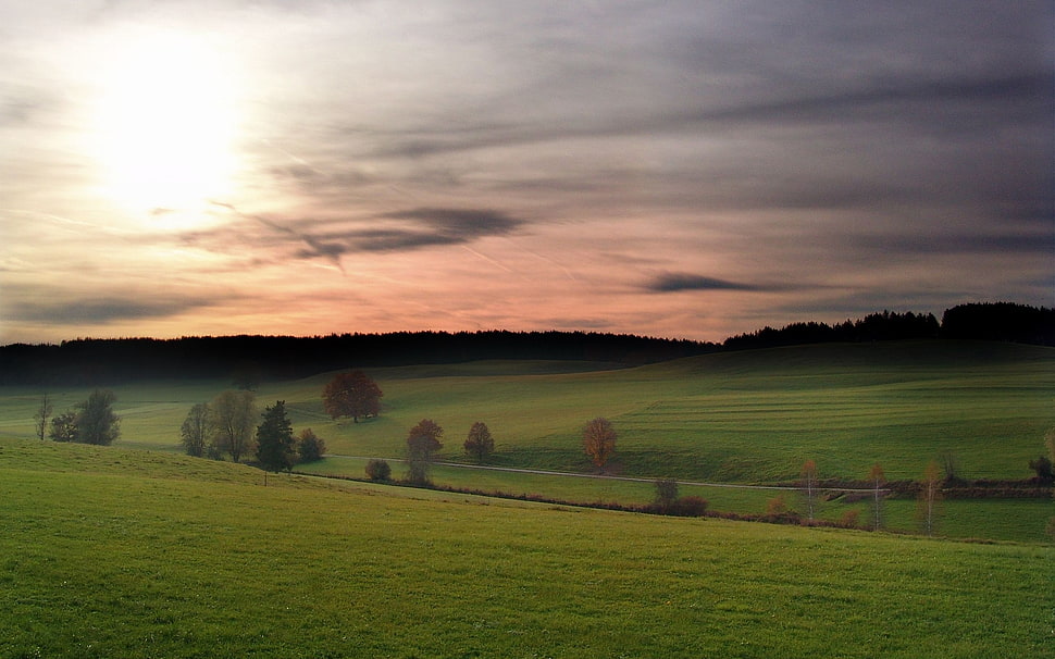 green field under dark sky HD wallpaper