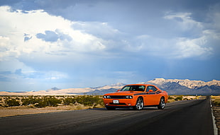 orange Dodge Challenger on the road at daytime HD wallpaper