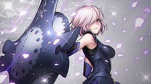 female anime character illustration, fantasy art, Shielder (Fate/Grand Order), Fate Series, Fate/Grand Order