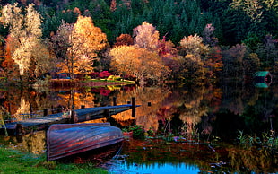 brown canoe near grey dock