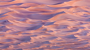 brown sand dunes landscape