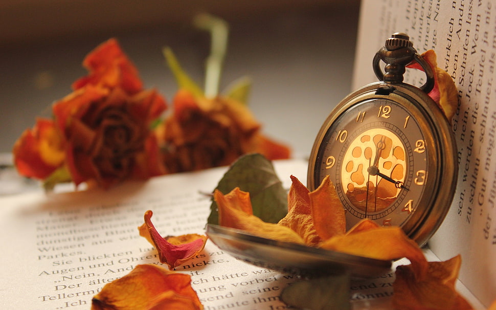 brown pocket watch with orange flower petals shallow focus photograph HD wallpaper