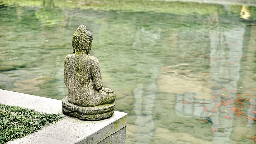gray Budha statue with large body of water HD wallpaper
