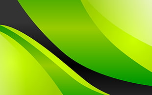 black and green color illustration