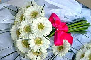 white flowers with red ribbon on white surface