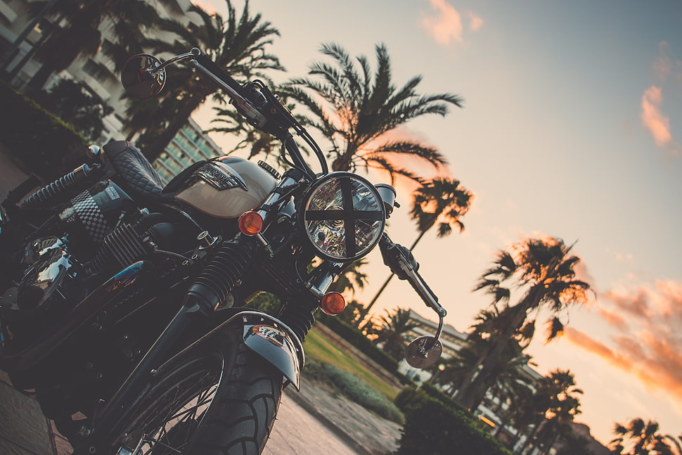photography of black and brown cruiser motorcycle during sunset HD wallpaper