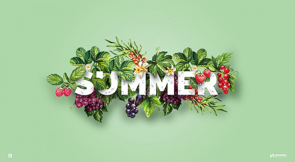Summer wreath, illustration, summer, typography, green background HD wallpaper
