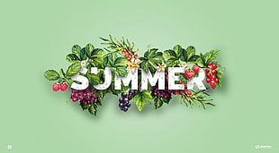 Summer wreath, illustration, summer, typography, green background