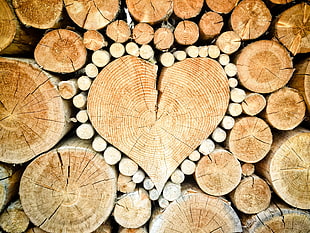 heart-shaped corkwood artwork