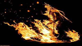 burning wood, Dark Souls, fire, video games