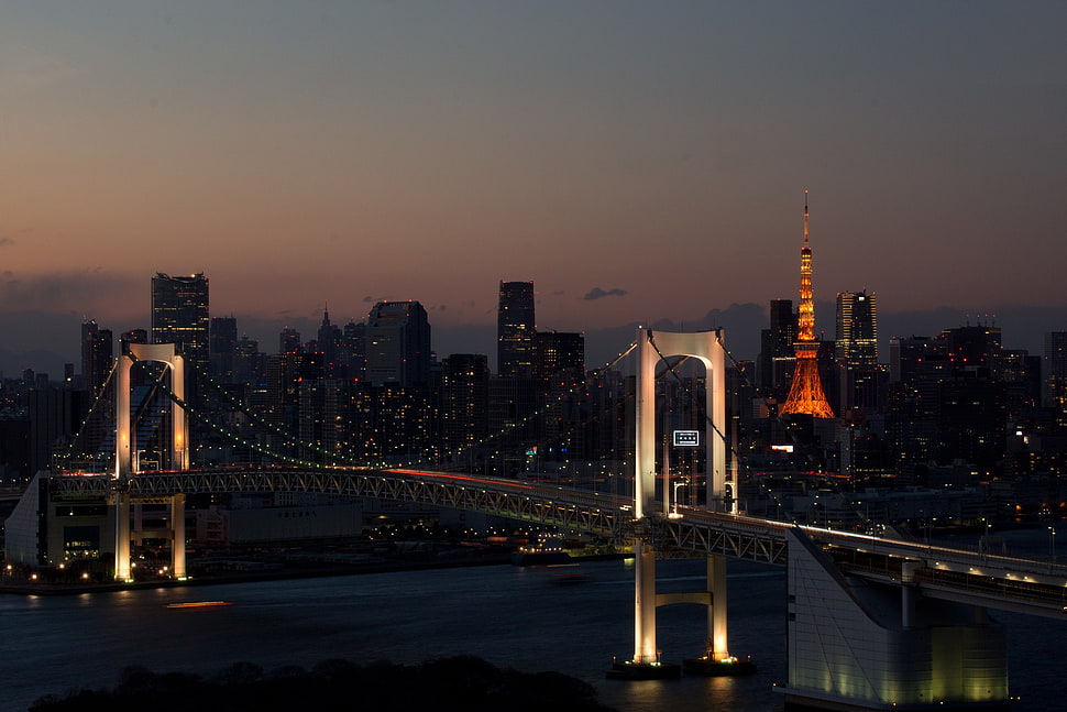 brown bridge, cityscape, bridge, Tokyo, Rainbow Bridge HD wallpaper