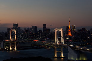 brown bridge, cityscape, bridge, Tokyo, Rainbow Bridge HD wallpaper