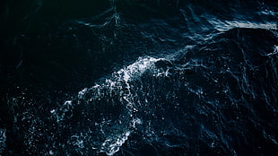 ocean wave photograph HD wallpaper