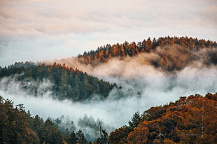 landscape photo of brown mountains with fog
