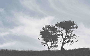 silhouette of trees, landscape, clouds, trees, artwork