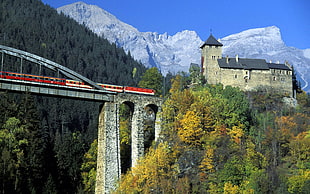 red train and grey bridge, nature, landscape, bridge, train