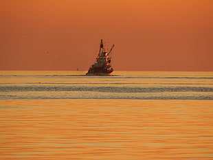white ship, ship, sunset, vehicle, sea