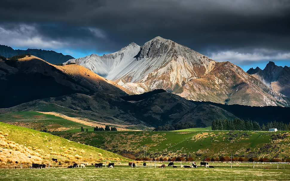 brown and gray mountain photo HD wallpaper