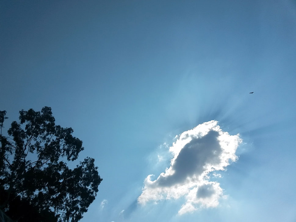 white cloud, blue, clouds, lights HD wallpaper