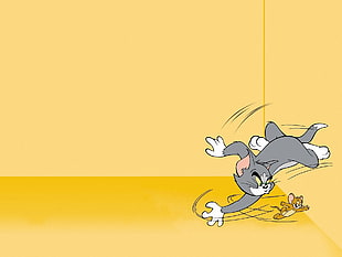 Tom and Jerry cartoon HD wallpaper