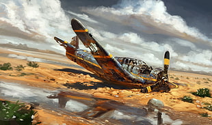 crashed biplane on yellow ground under gray cloudy sky