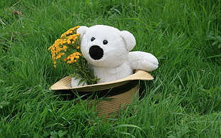 white teddy bear inside hat on green grass during daytime HD wallpaper