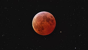 red moon illustration HD wallpaper