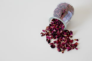 purple petal flowers HD wallpaper
