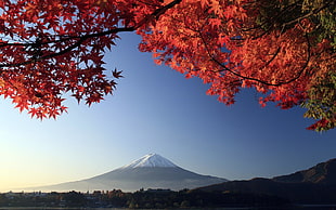 Mount Fuji, Japan HD wallpaper
