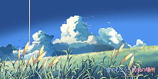 grass field digital wallpaper, The Place Promised In Our Early Days, anime, clouds, Makoto Shinkai 