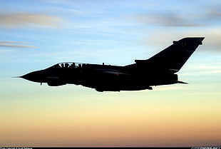 gray fighter aircraft, Panavia Tornado, jet fighter, airplane, aircraft HD wallpaper