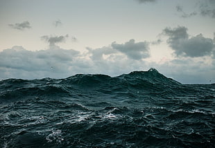 sea waves, sea, waves HD wallpaper
