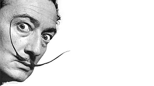 men's black and white dress shirt, Salvador Dalí HD wallpaper