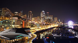 city buildings and lake, Seattle, beach, night, shot