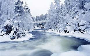 river covered by snow HD wallpaper