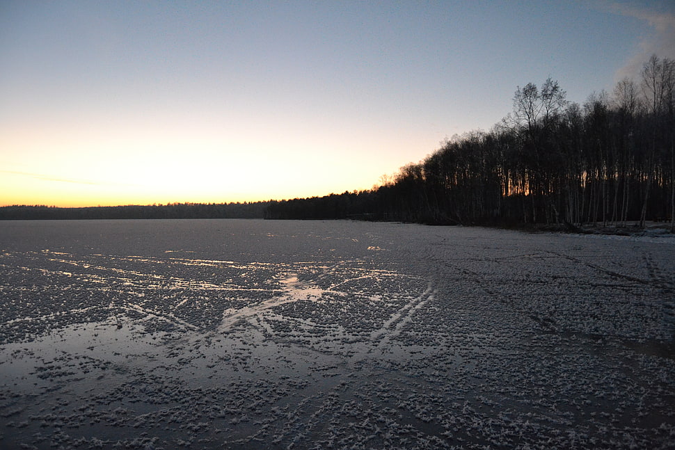 winter HD wallpaper