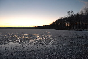 winter HD wallpaper