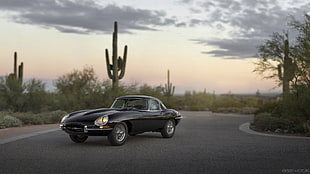 black coupe, car, Jaguar E-Type, Jaguar, road HD wallpaper