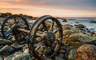 close up photo of horse carriage wheels on sea rocks