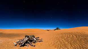 brown logs on desert, photography, landscape, desert HD wallpaper